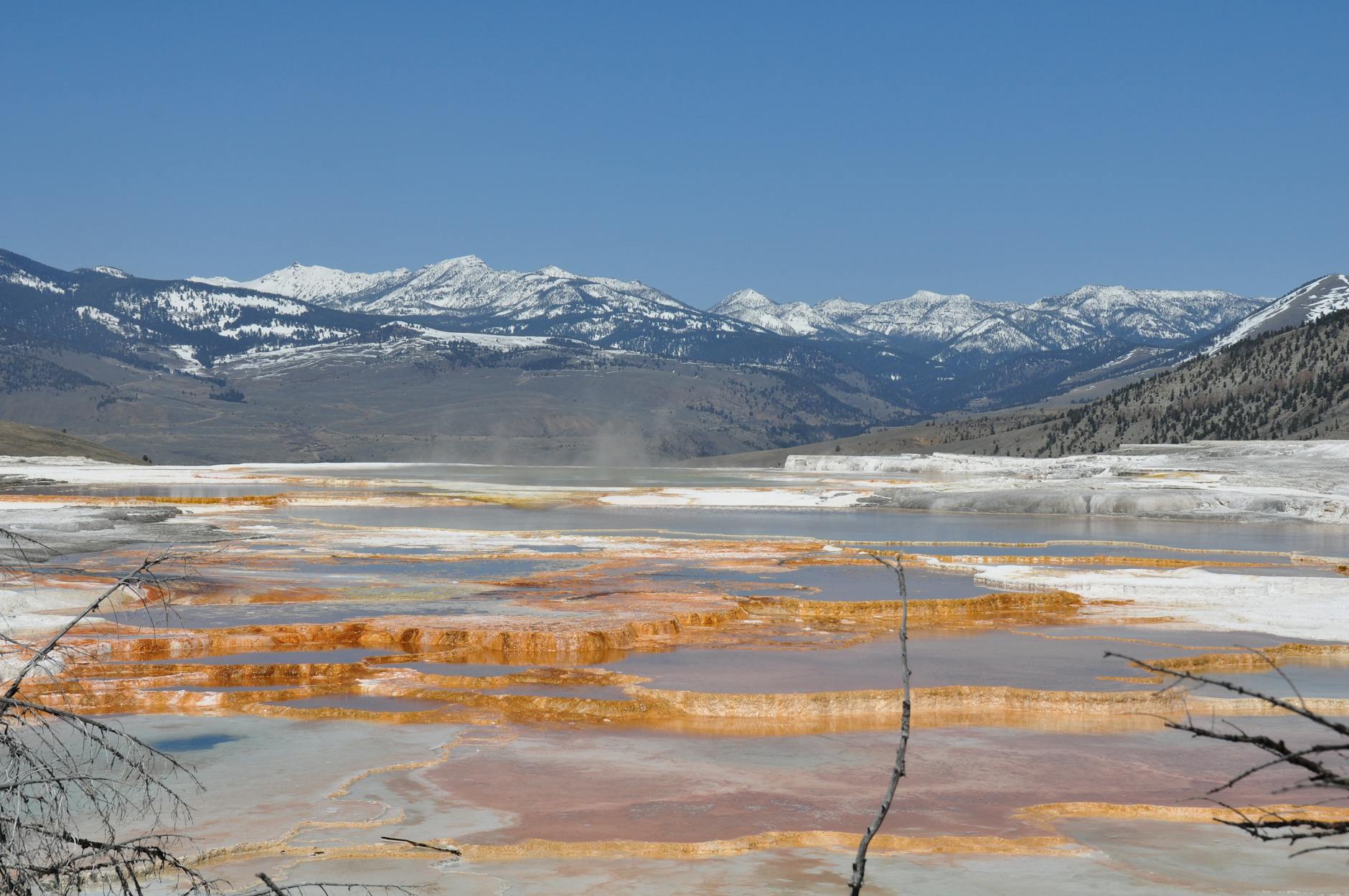 Tarasy Mammoth Hot Springs z ośnieżonymi szczytami w tle
